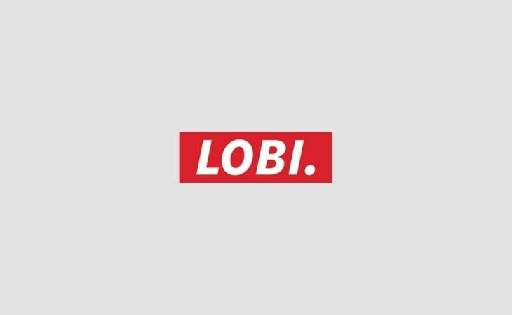 lobi-boxlogo-collectie